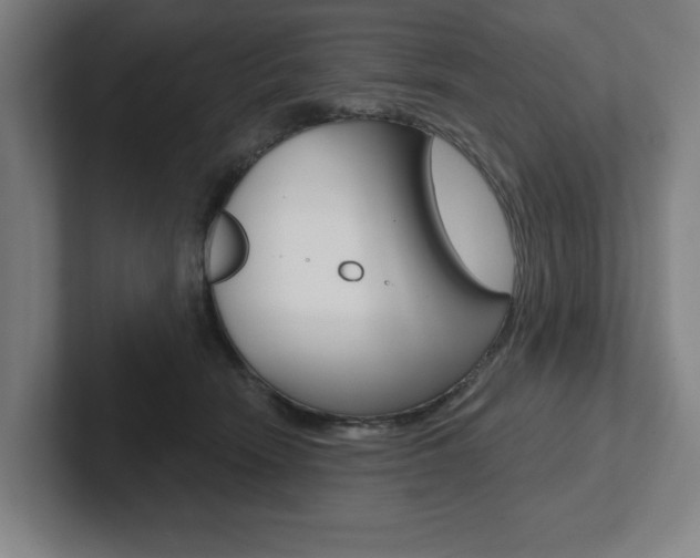 X0000102870466200808181049