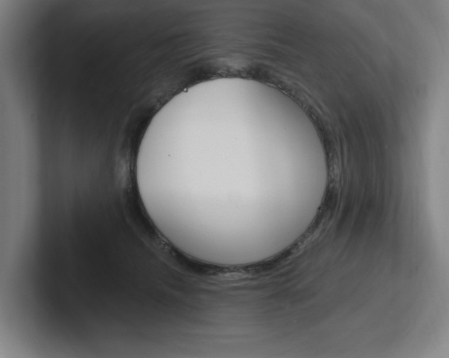 X0000102870468200808181049