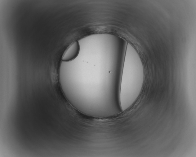 X0000102870469200808181049
