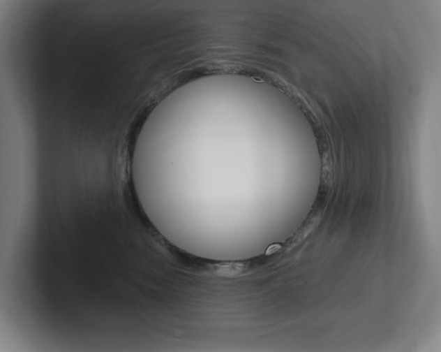 X0000102870474200808181049