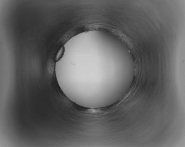 X0000102870477200808181049