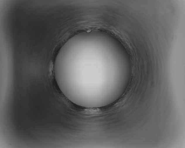 X0000102870480200808181049