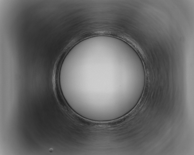 X0000102870482200808181049