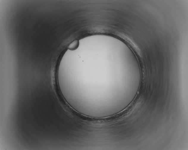 X0000102870489200808181048