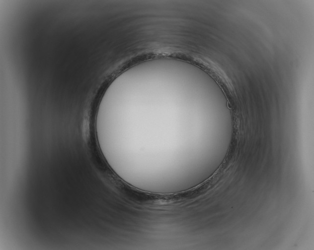 X0000102870496200808181048