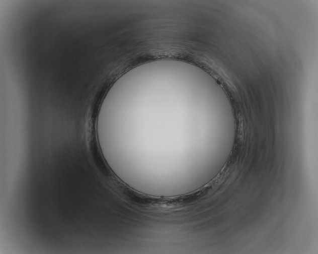X0000102870498200808181048