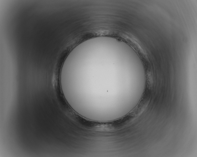 X0000102870499200808181048