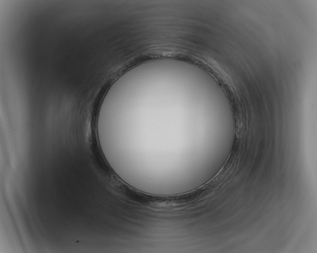 X0000102870500200808181048