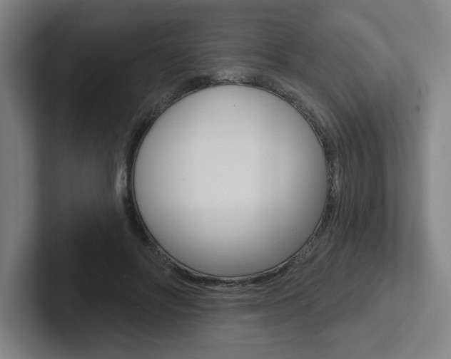 X0000102870502200808181048