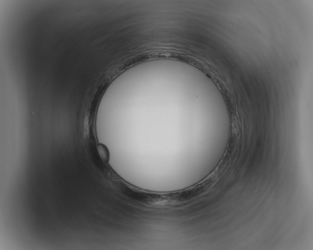 X0000102870504200808181048