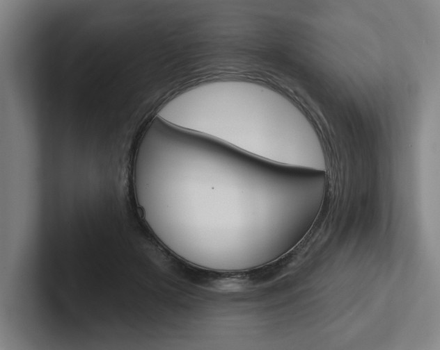 X0000102870505200808181048