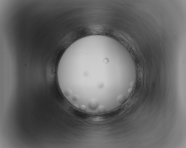 X0000102870507200808181048