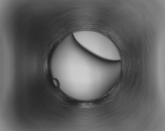 X0000102870508200808181048