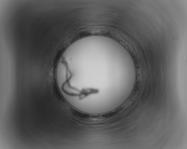 X0000102870510200808181048