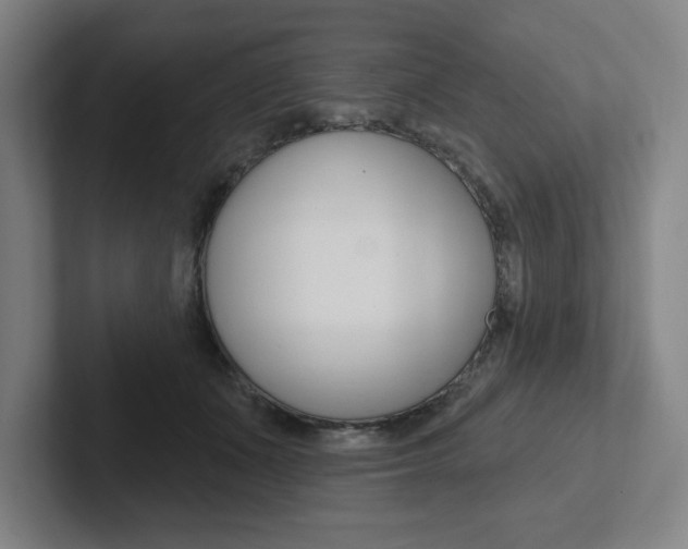 X0000102870511200808181048