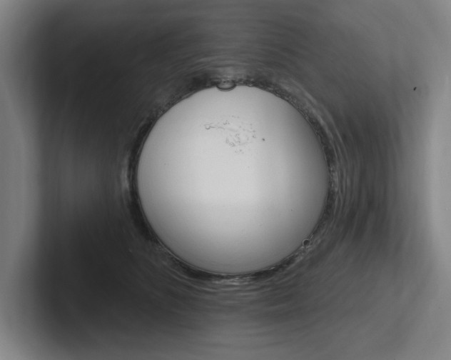 X0000102870516200808181048