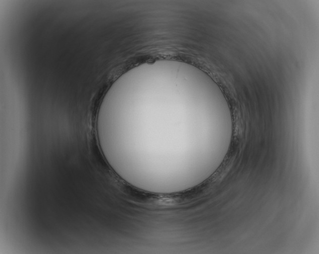 X0000102870518200808181048