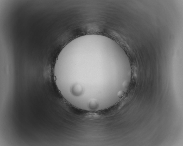X0000102870519200808181048
