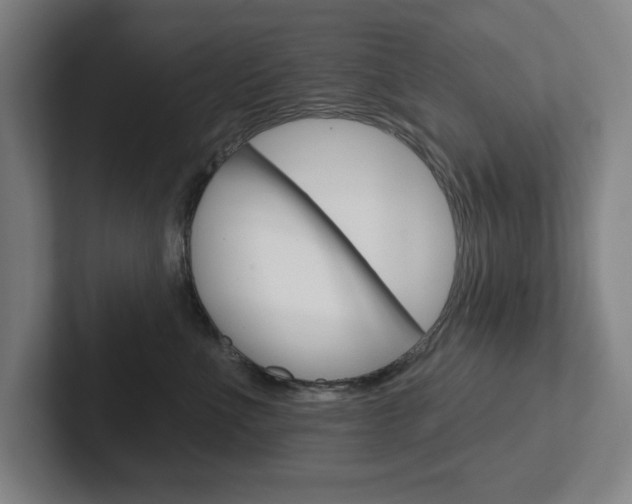 X0000102870523200808181048