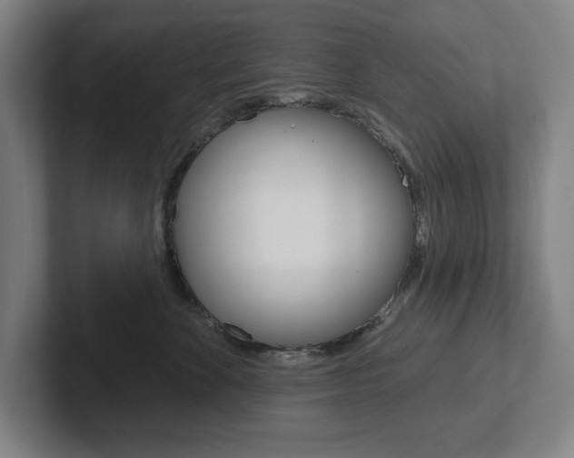 X0000102870524200808181048