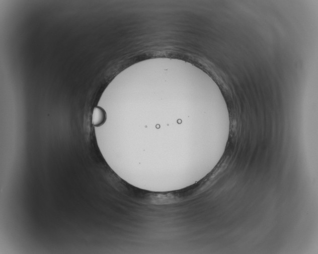 X0000102870525200808181048