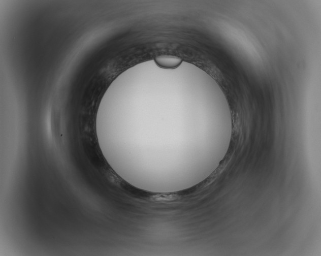 X0000102870526200808181048