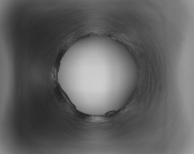 X0000102870528200808181048
