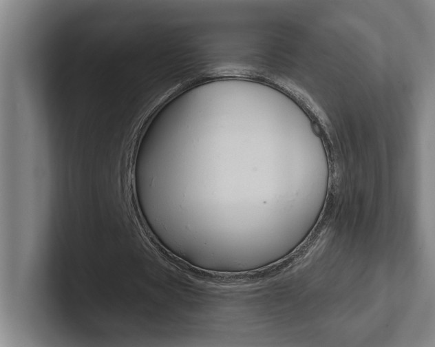 X0000102870529200808181047