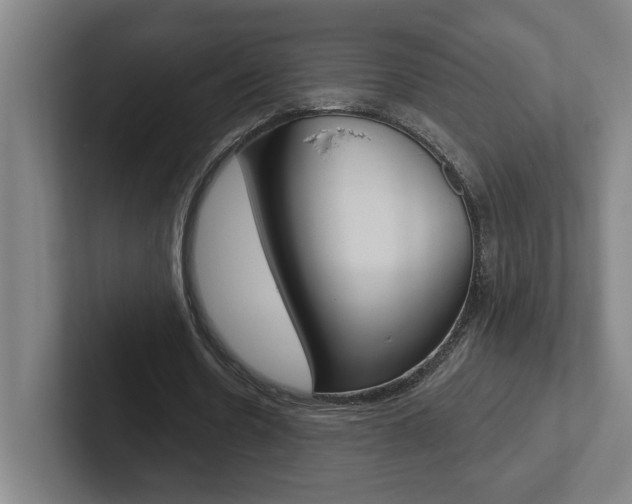 X0000102870530200808181047