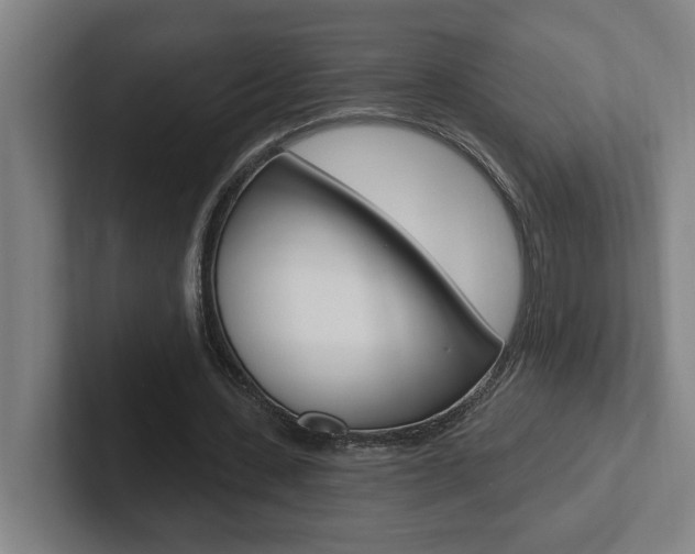 X0000102870531200808181047