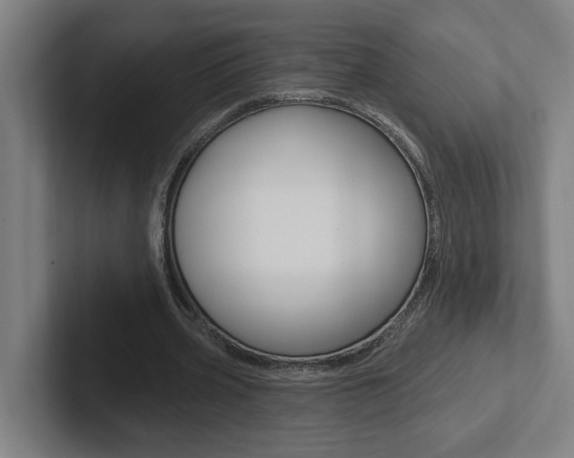 X0000102870533200808181047