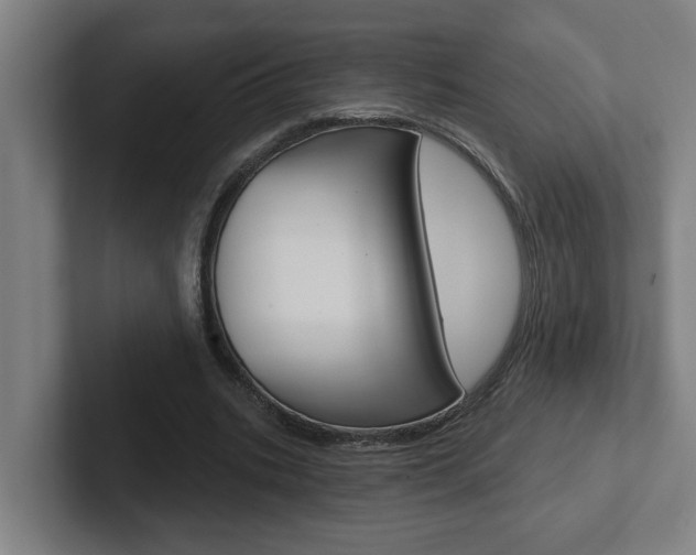 X0000102870535200808181047