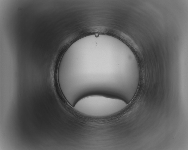 X0000102870538200808181047