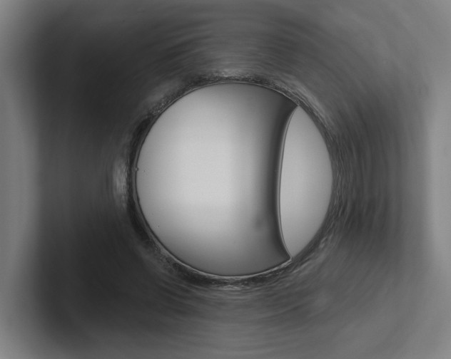 X0000102870542200808181047