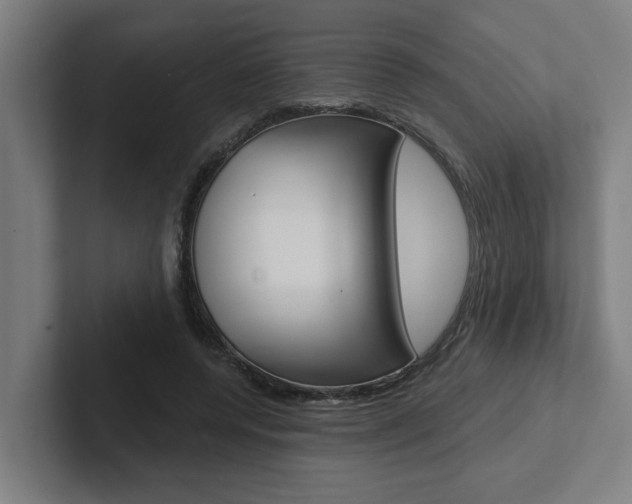 X0000102870544200808181047