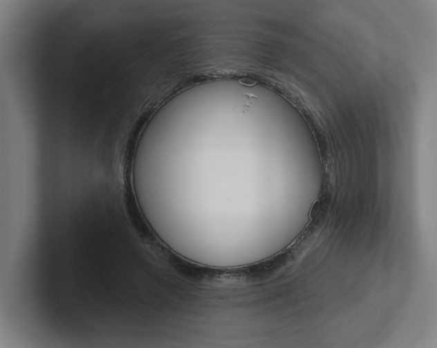 X0000102870546200808181048