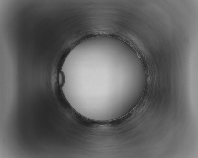 X0000102870548200808181048