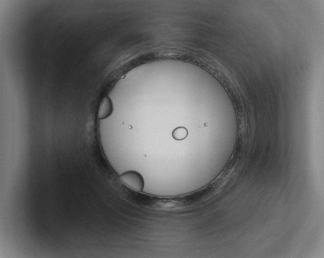X0000102870557200808181048