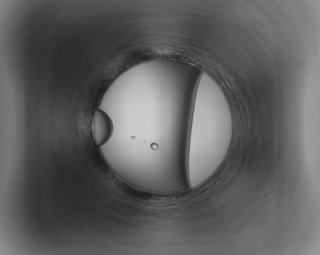 X0000102870559200808181048