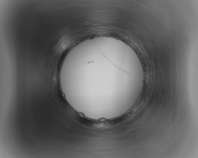 X0000102870561200808181048