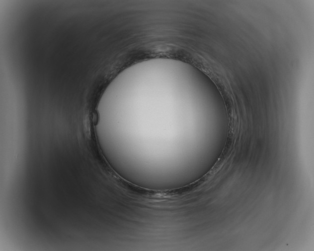 X0000102870562200808181048
