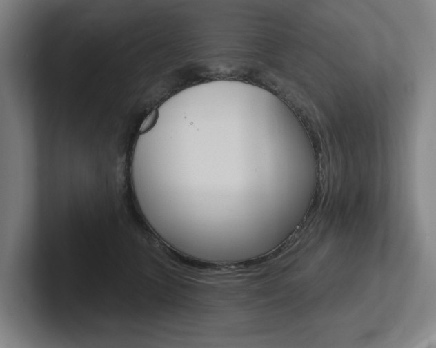 X0000102870563200808181048