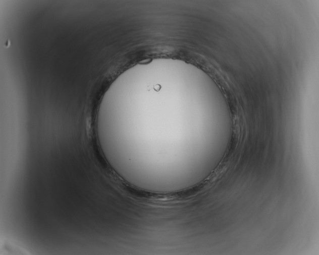 X0000102870564200808181048