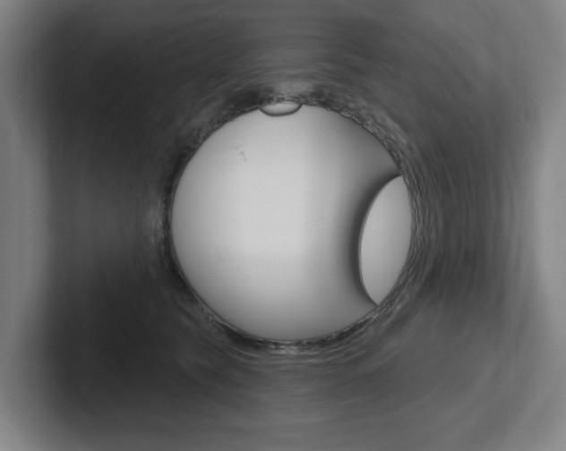 X0000102870565200808181048