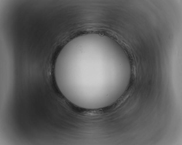 X0000102870567200808181048