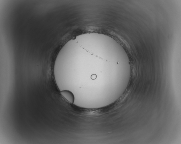 X0000102870569200808181048