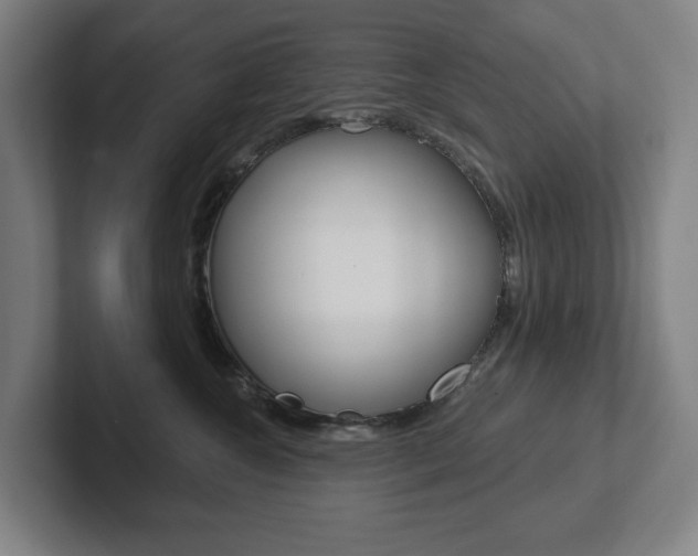 X0000102870572200808181048