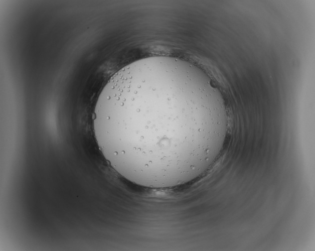 X0000102870573200808181048