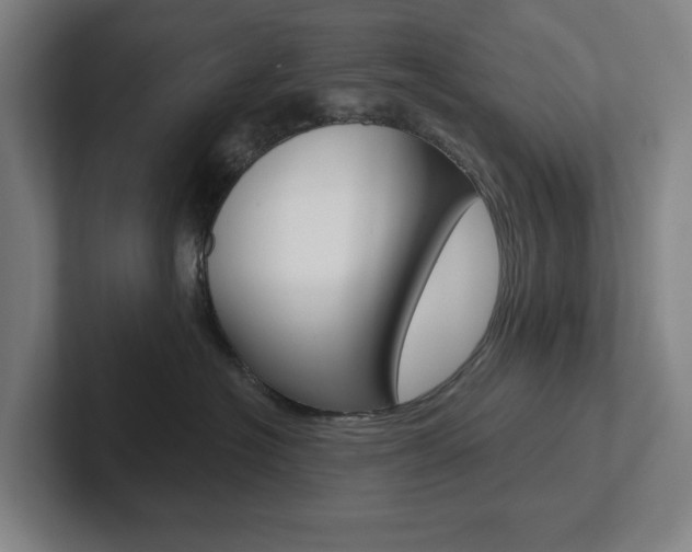 X0000102870574200808181048