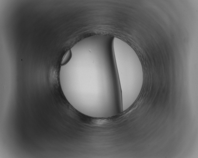 X0000102870575200808181048
